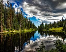 دانلود آهنگ رول میپیچه دنیا برام و لب میده بهم علف 